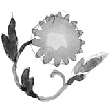 Chrysanthemum of November