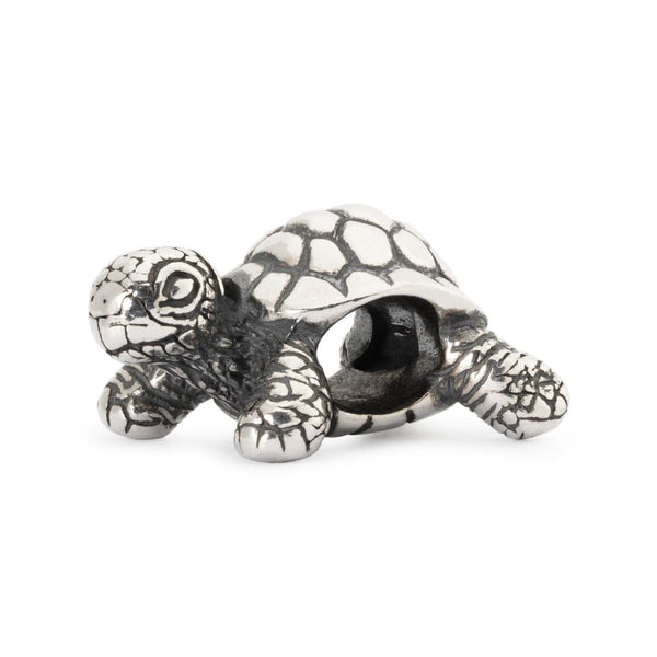 African Tortoise - Bead/Link