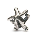 Starfish - Bead/Link